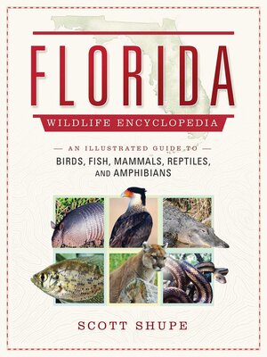 cover image of The Florida Wildlife Encyclopedia: an Illustrated Guide to Birds, Fish, Mammals, Reptiles, and Amphibians